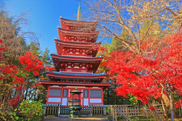 Du lịch Nhật Bản mùa lá đỏ