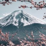 Tuyệt sắc vẻ đẹp bốn mùa núi Phú Sĩ Nhật Bản